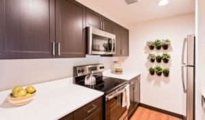 Apartment kitchen with wood cabinets at Sharples Works in West Chester, PA